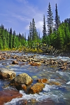 CANADA;ALBERTA;ICEFIELD_PARKWAY;CANADIAN_ROCKIES;ROCKY_MOUNTAINS;WATER;STREAMS;C